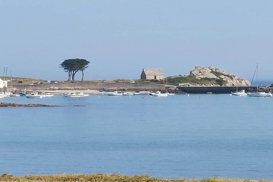 Immediate Surroundings [summer] (<1 km)