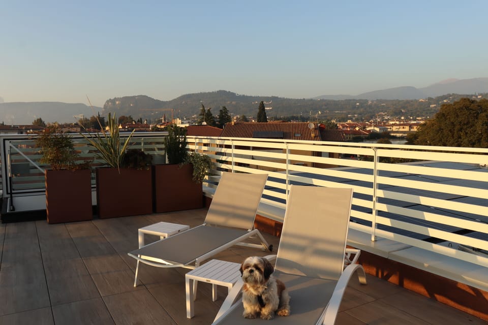 Solarium Terrace (3)