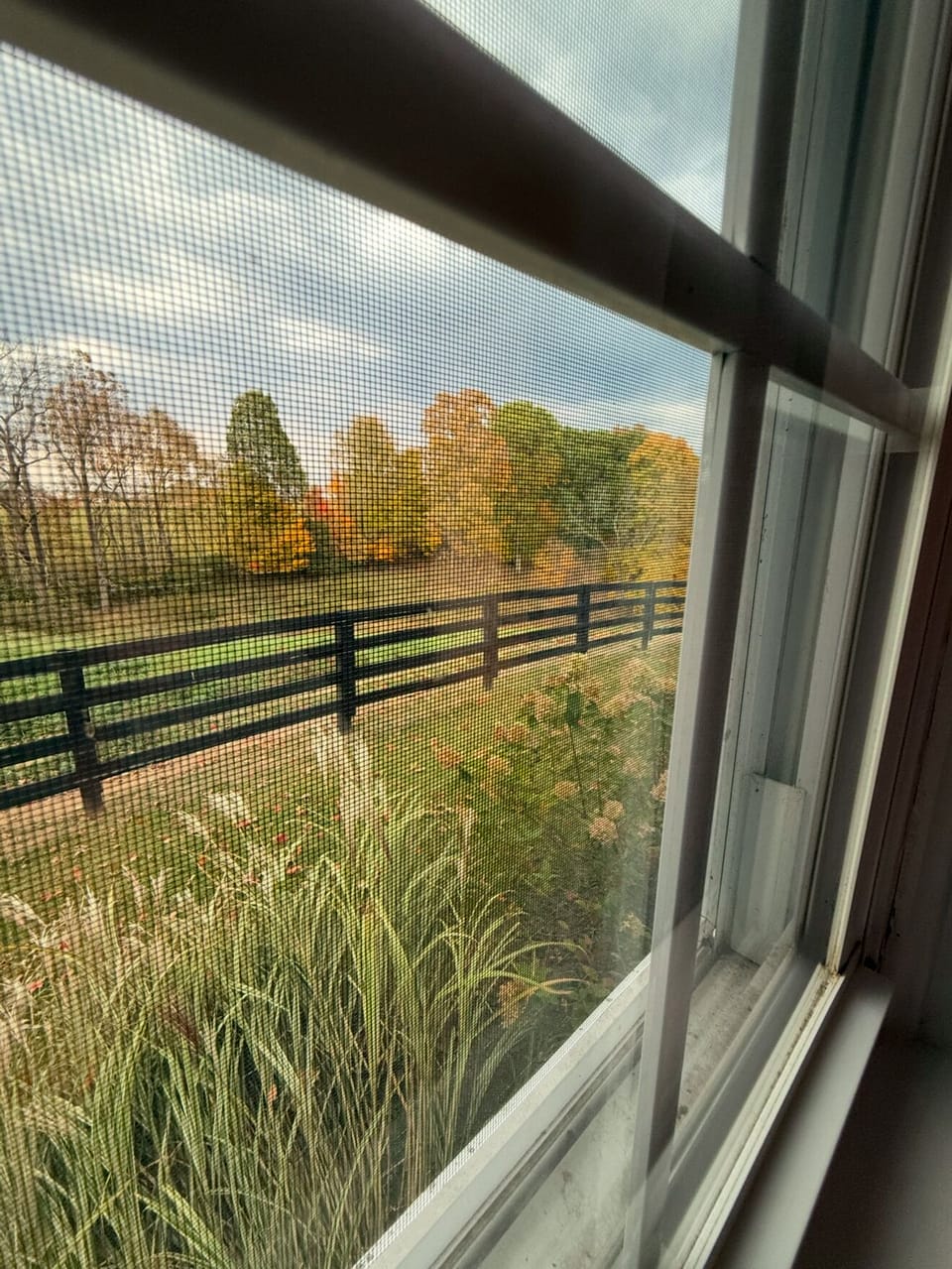 View from 1st Floor Bedroom window
