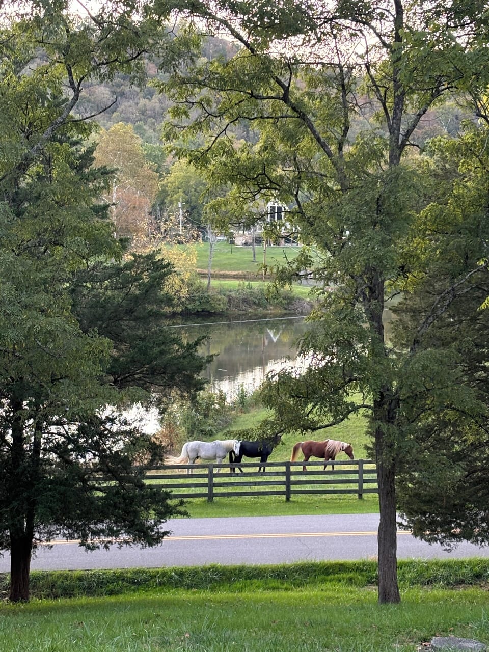 View from the front porch