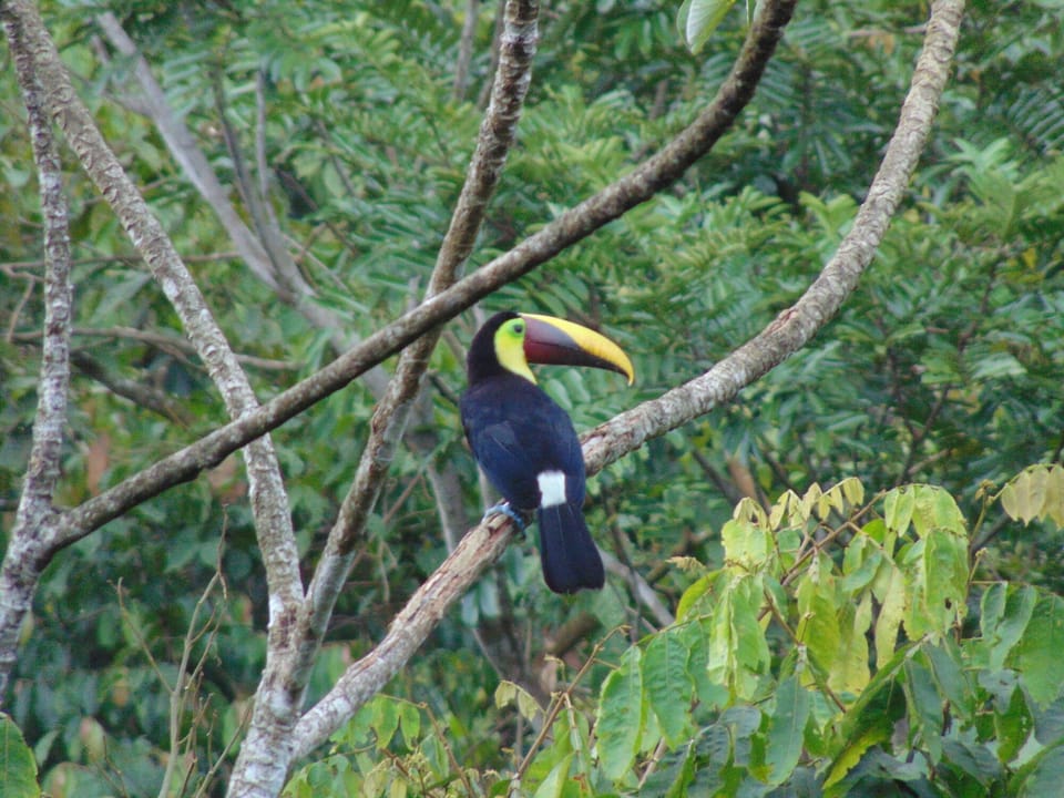DSC01502