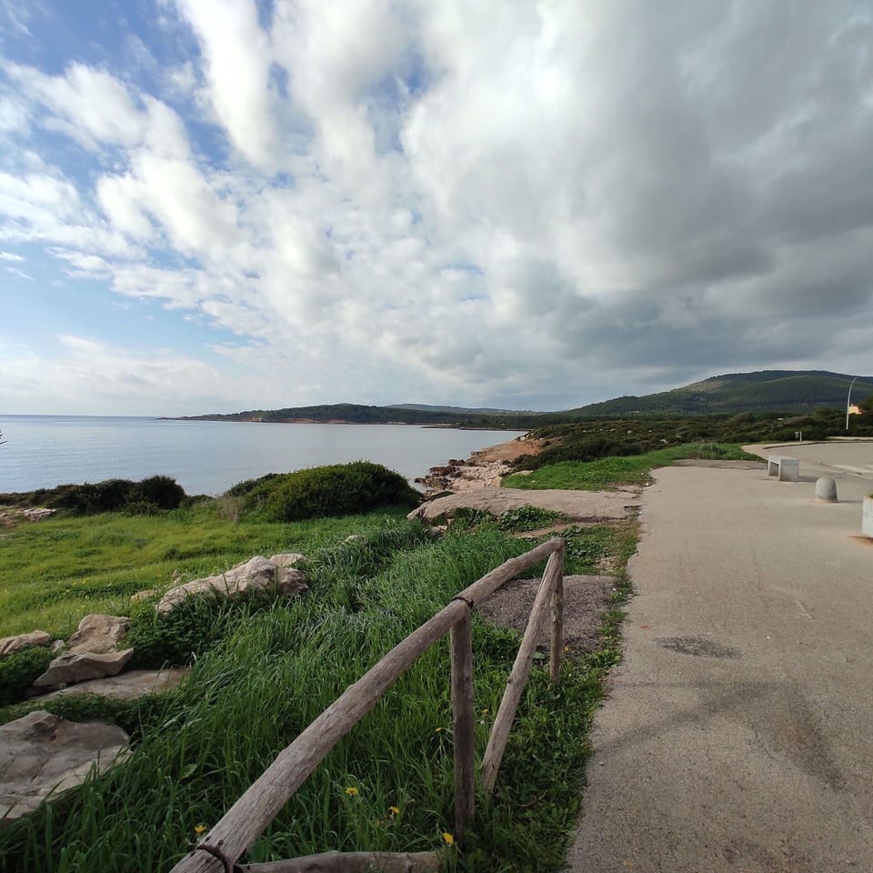 Autumn, Outdoor, Spring, Summer