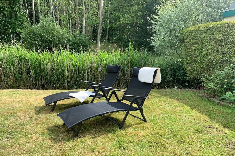 Garden [summer]