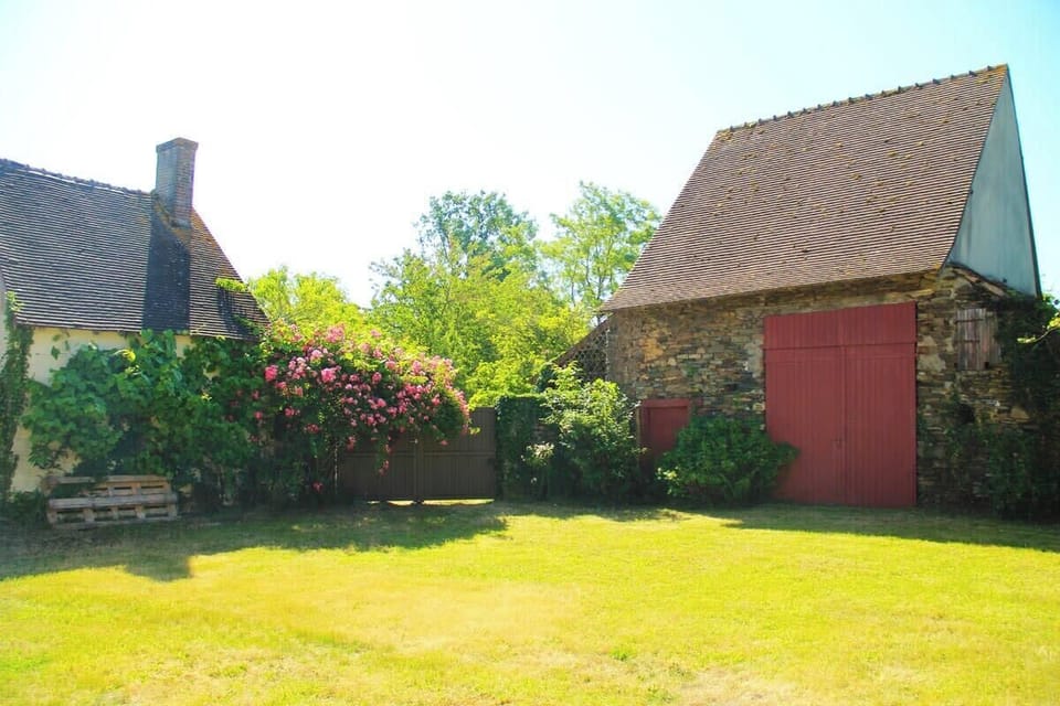 300 m2 cour et jardin