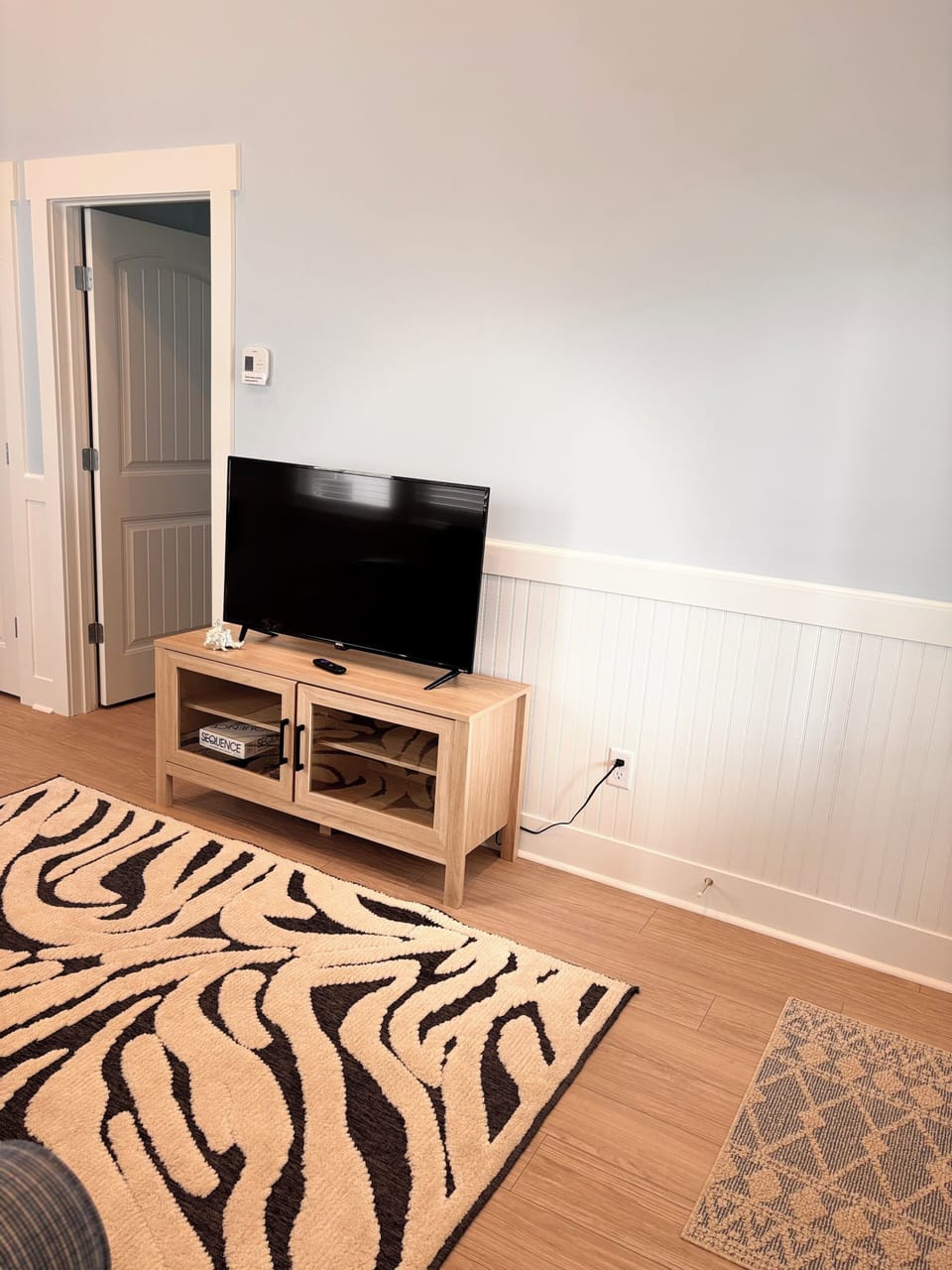 TV in the living room