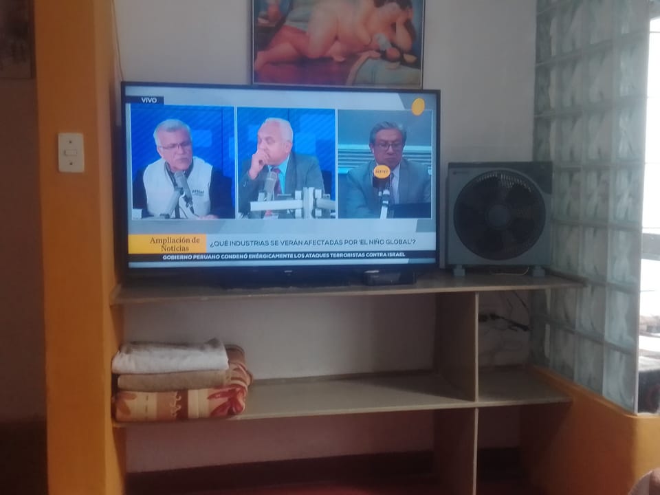 Television