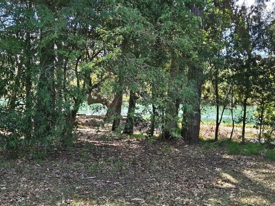 Walk through the backyard and through the gates to the water