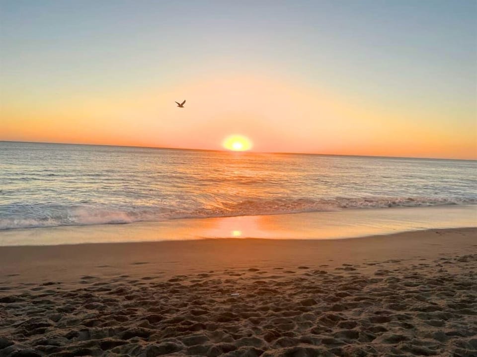 Beach Sunrise