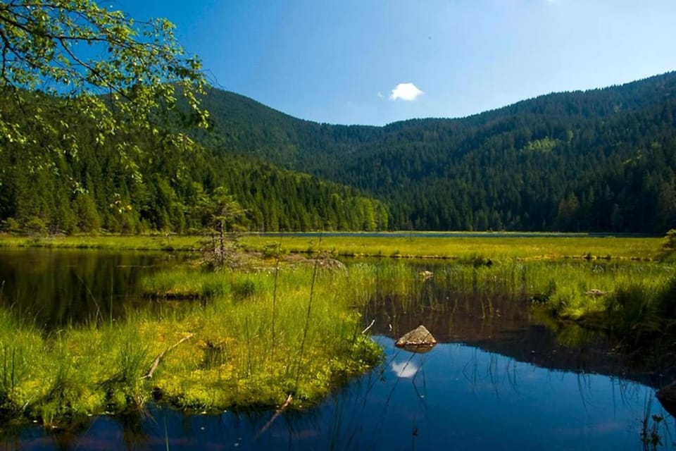 Region [summer] (>5 km)