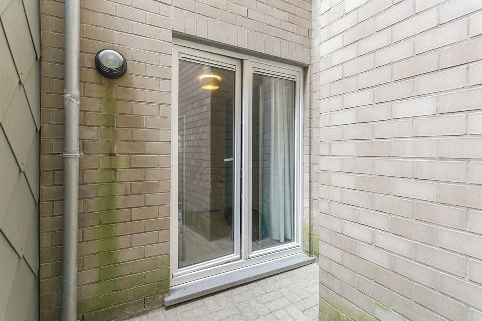 Entrance / Reception