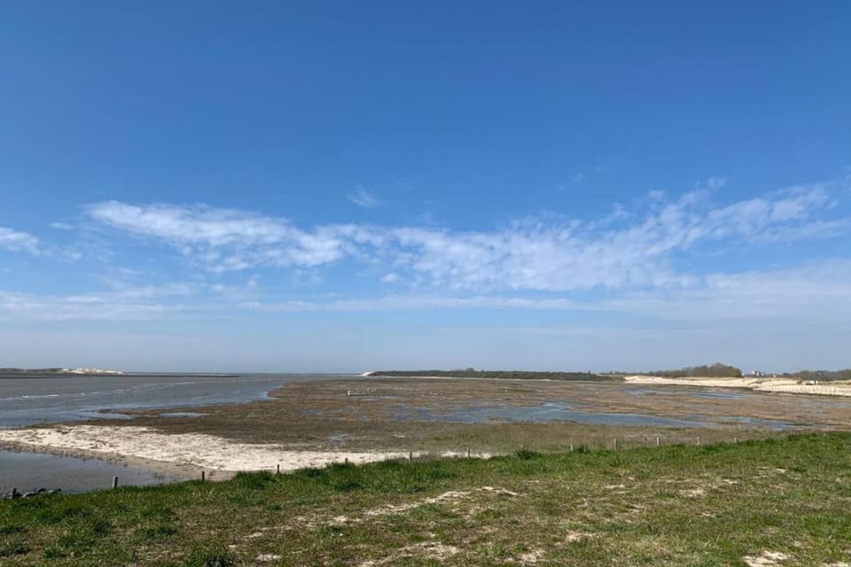 Immediate Surroundings [summer] (<1 km)