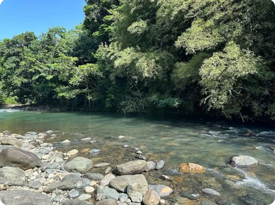 Paseos en caballo hacia el río en Hacienda Carabalí