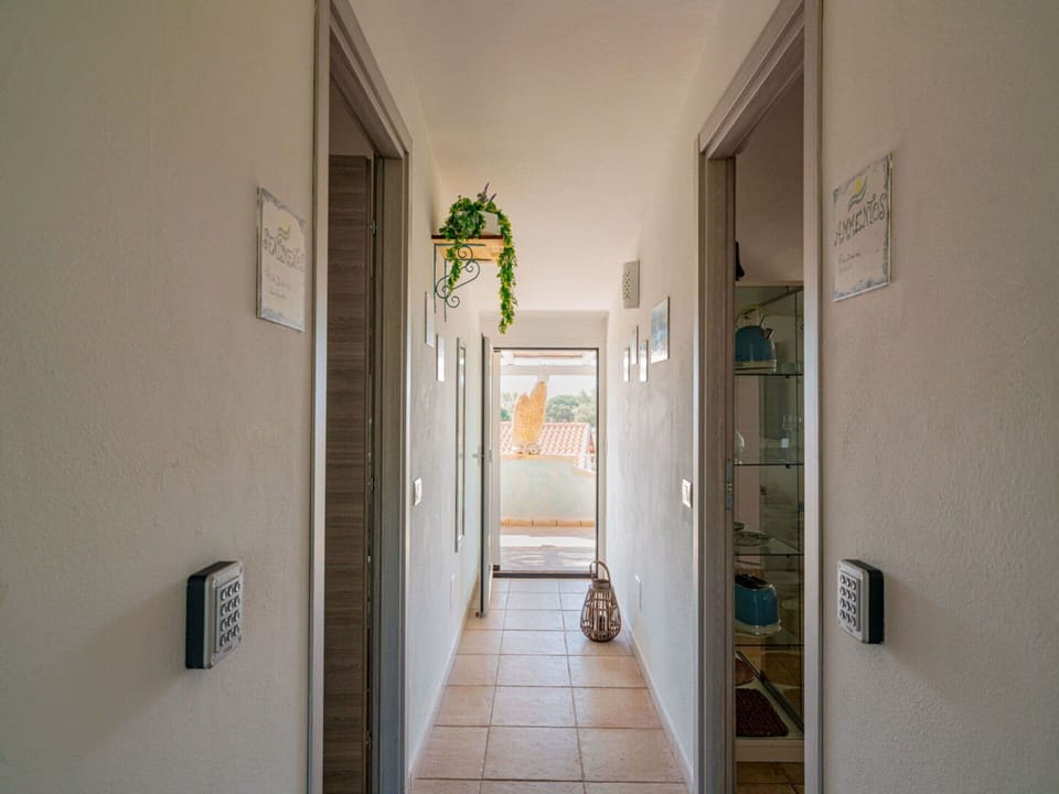 Building, Door, House, Flooring, Wood, Floor, Ceiling, Houseplant