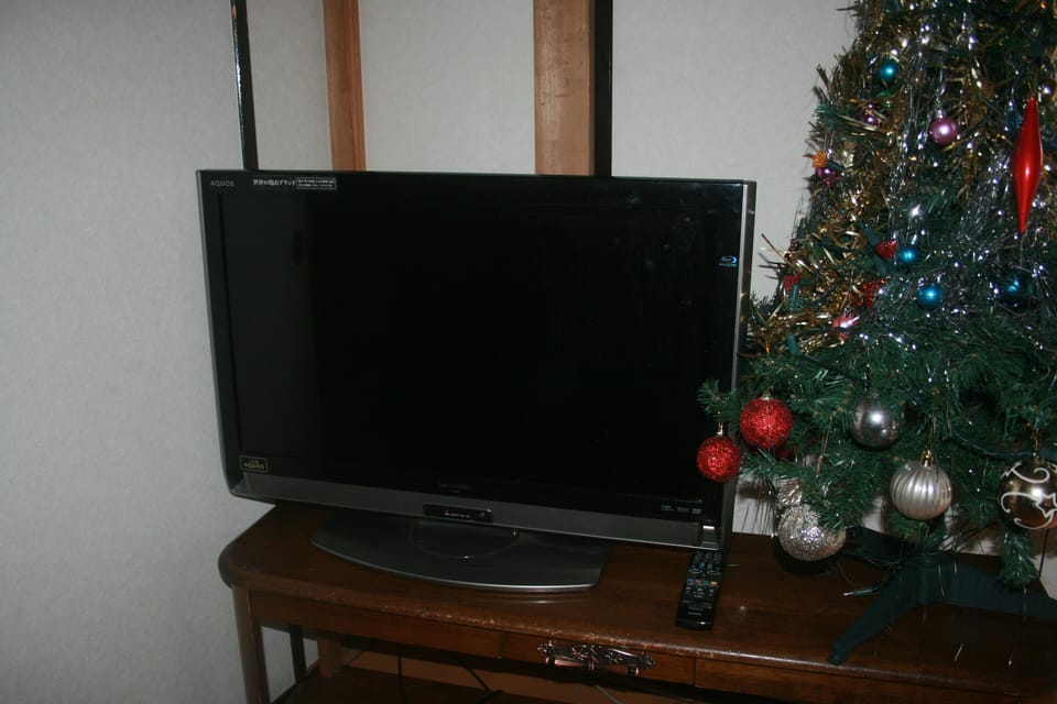 Television
