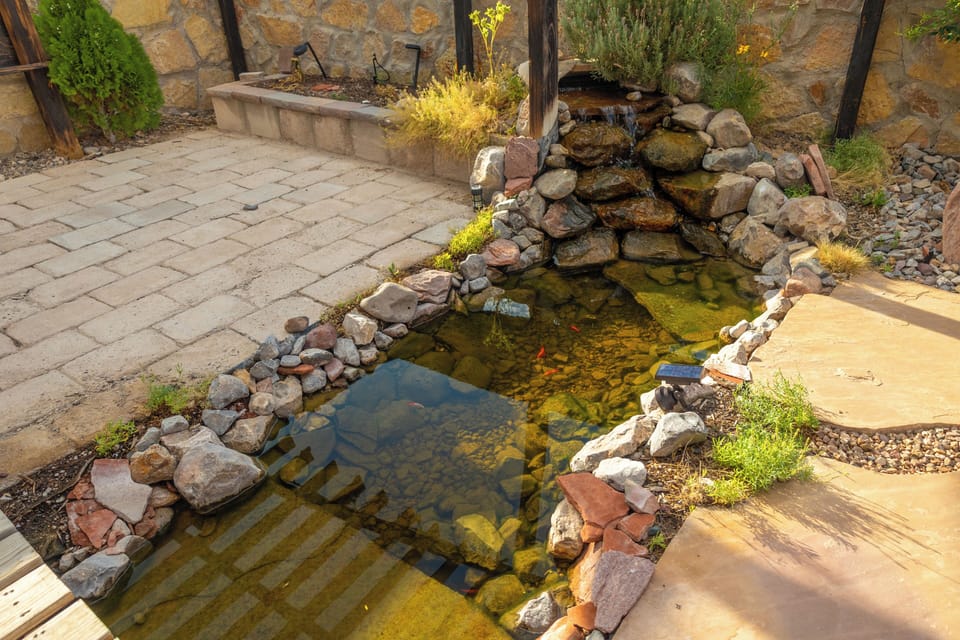 Pond with koi and goldfish. Please do not feed fish, they eat algae in pond