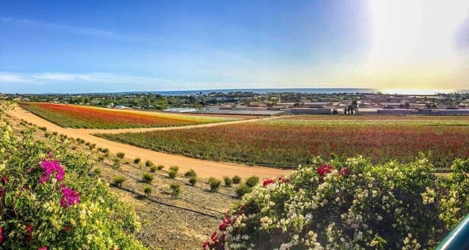Grand Pacific Palisades_5_flowerfieldviews.jpg