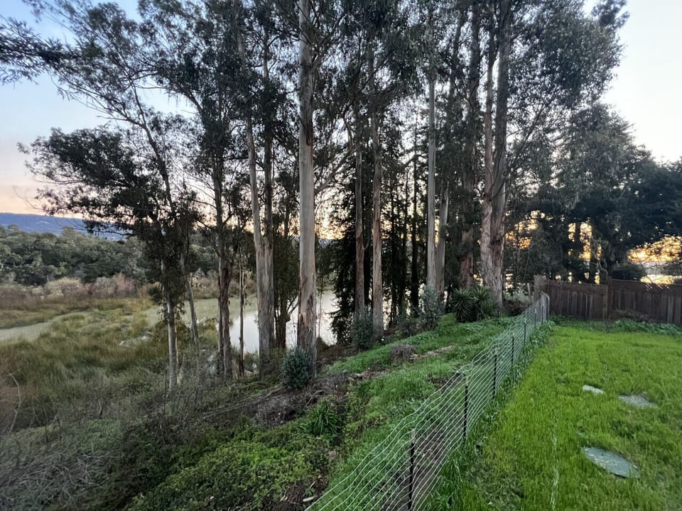 Sunrise from back deck