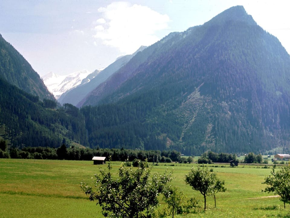 Surroundings [summer] (1-5 km)