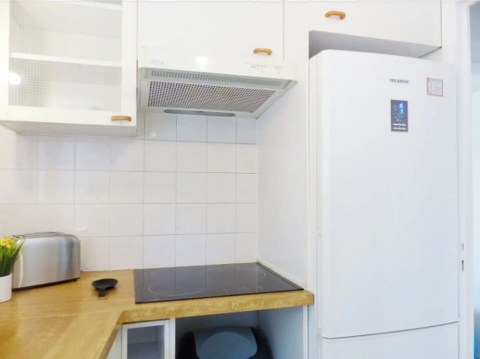 cuisine avec plaque induction et grand frigo / congélateur 