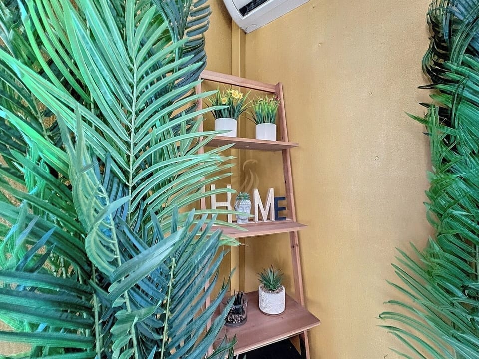 Imaginez-vous ici, relaxant dans cet espace vert, idéal pour lire un livre. Les plantes et le décor créent une atmosphère apaisante, et avec la climatisation, il fait toujours bon ici.