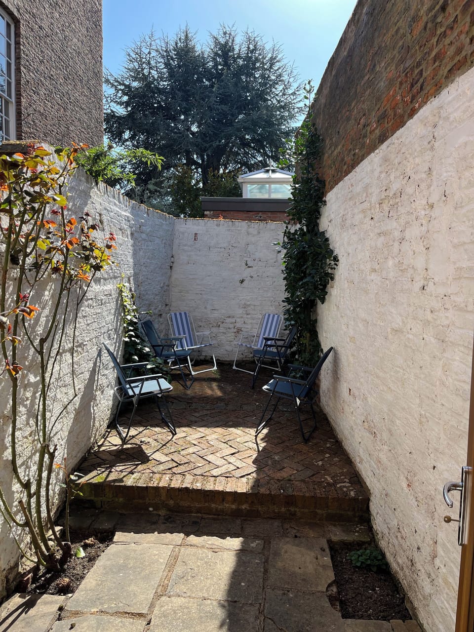 Private Walled South Facing Patio and Garden