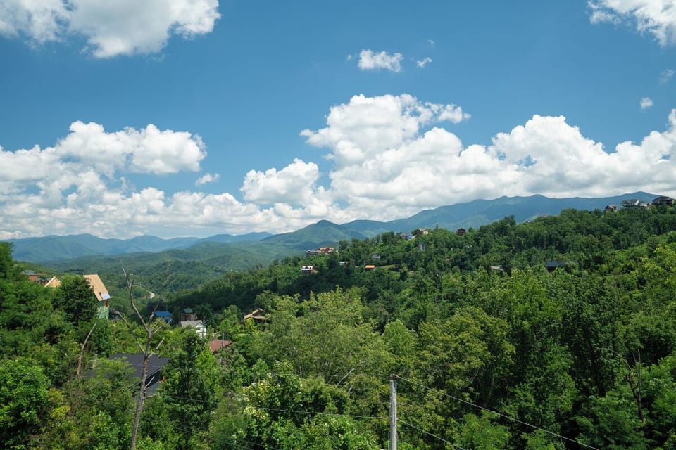 Black Bear Sanctuary's exterior