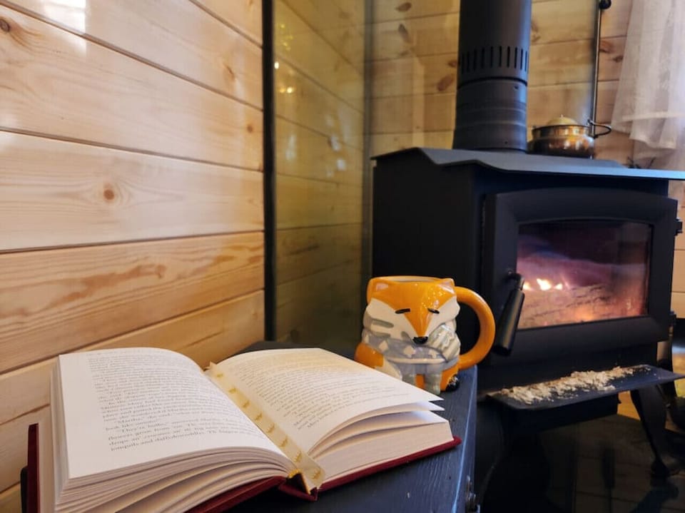 Warm & Cozy Living Space with Wood Stove