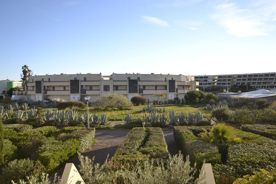 Vue (2)