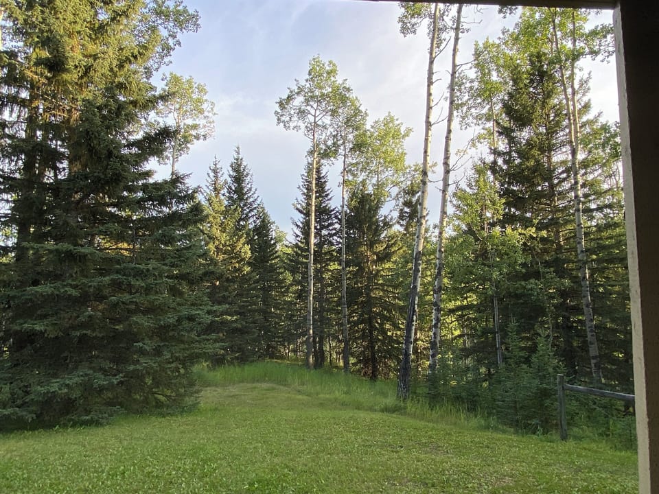 View from property
