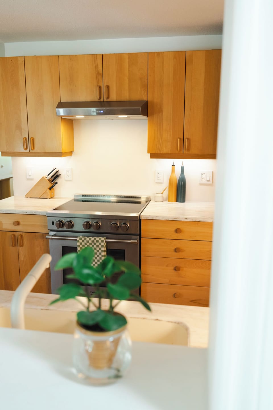 Full Kitchen with induction stove. Brand new appliances and Nespresso Vertuo.