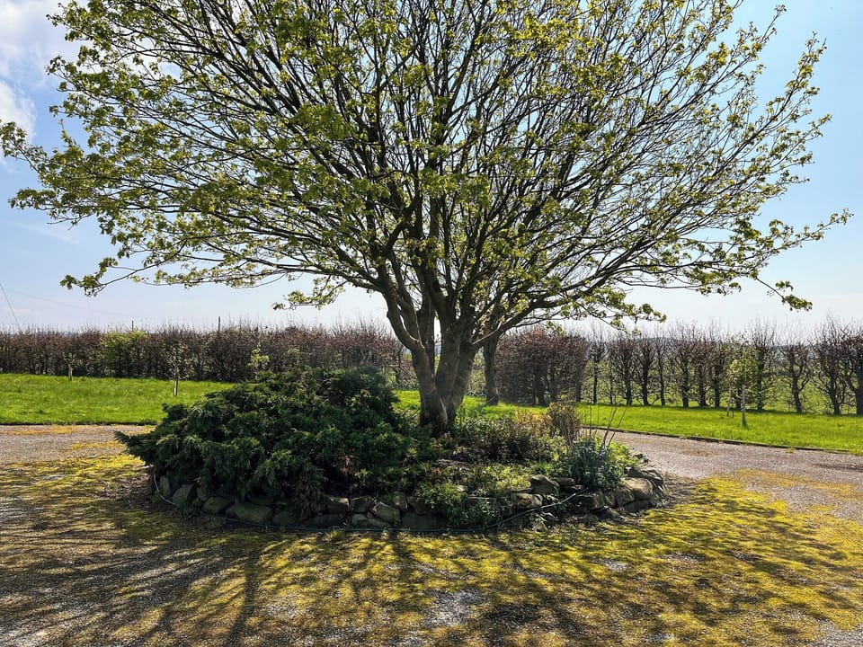 Outdoor area | Crumquhill Bungalow, Ringford, near Castle Douglas