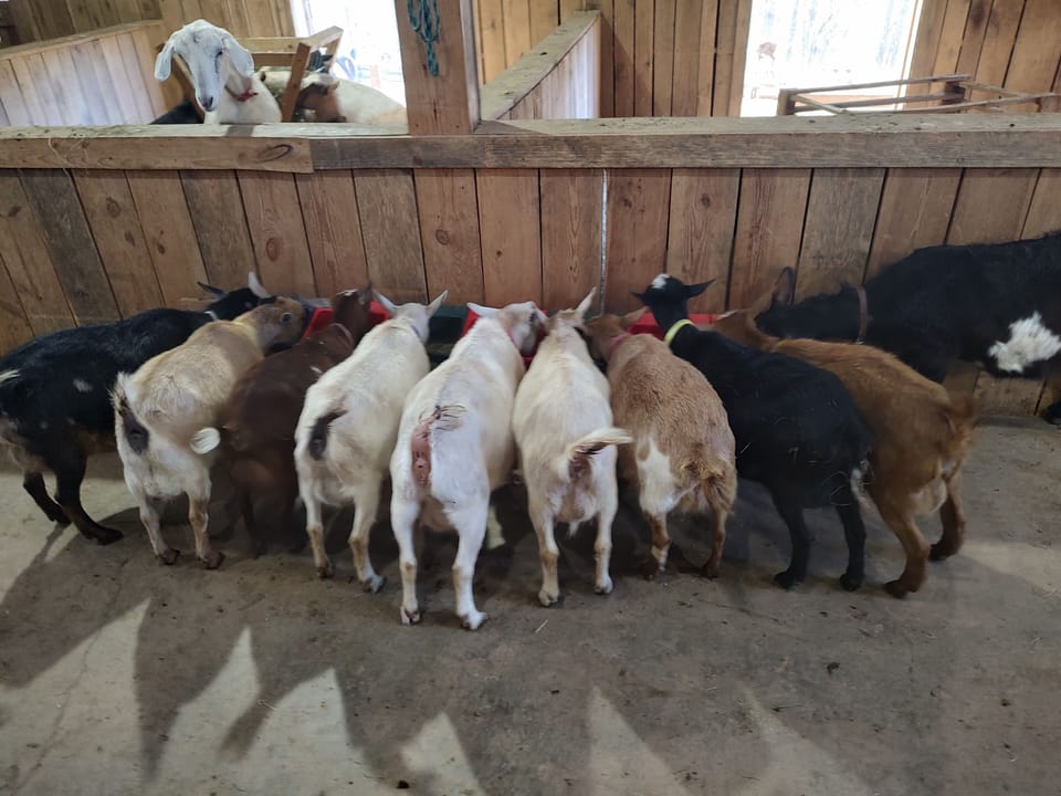 Miscellaneous