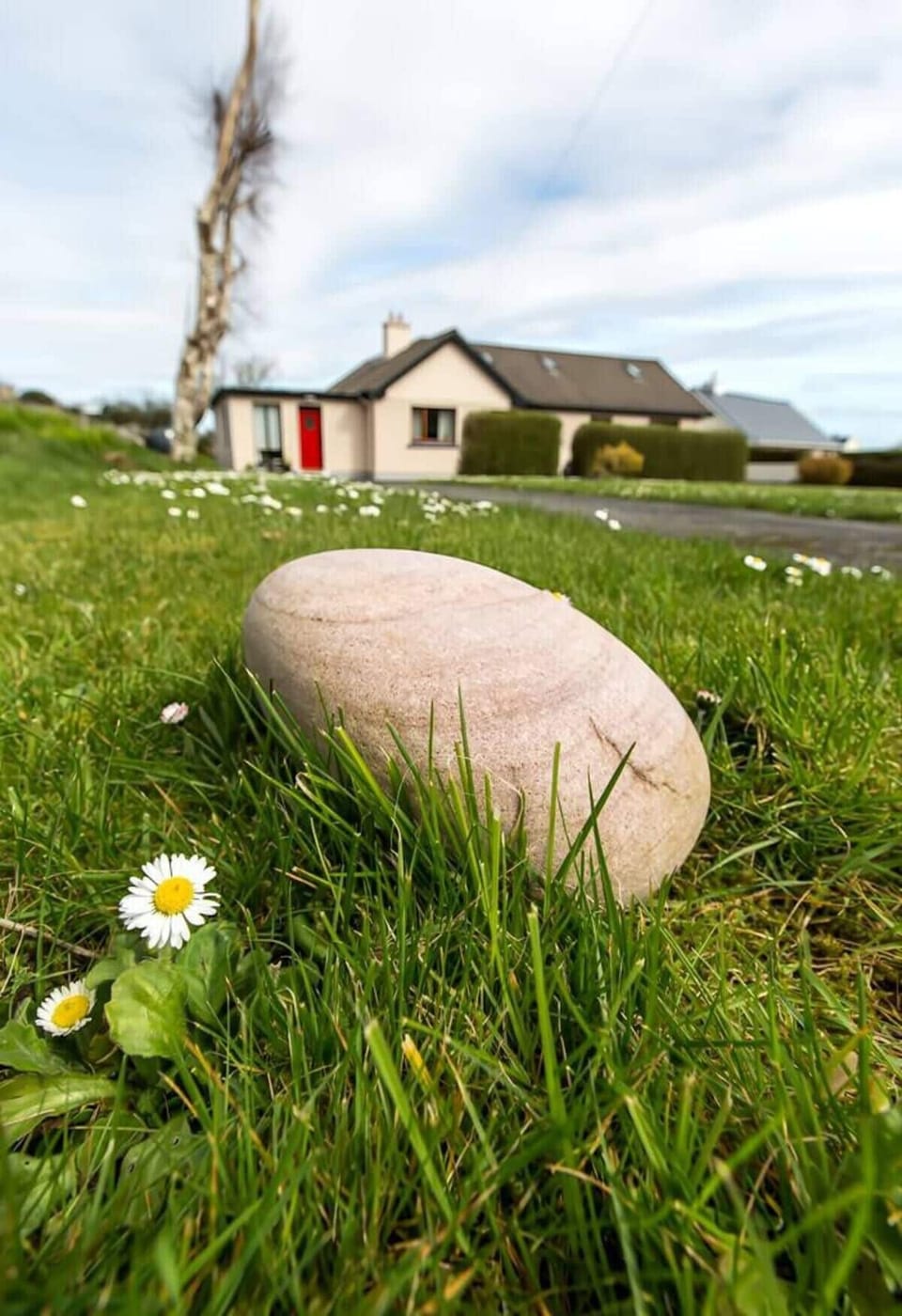 The Annexe with red door.