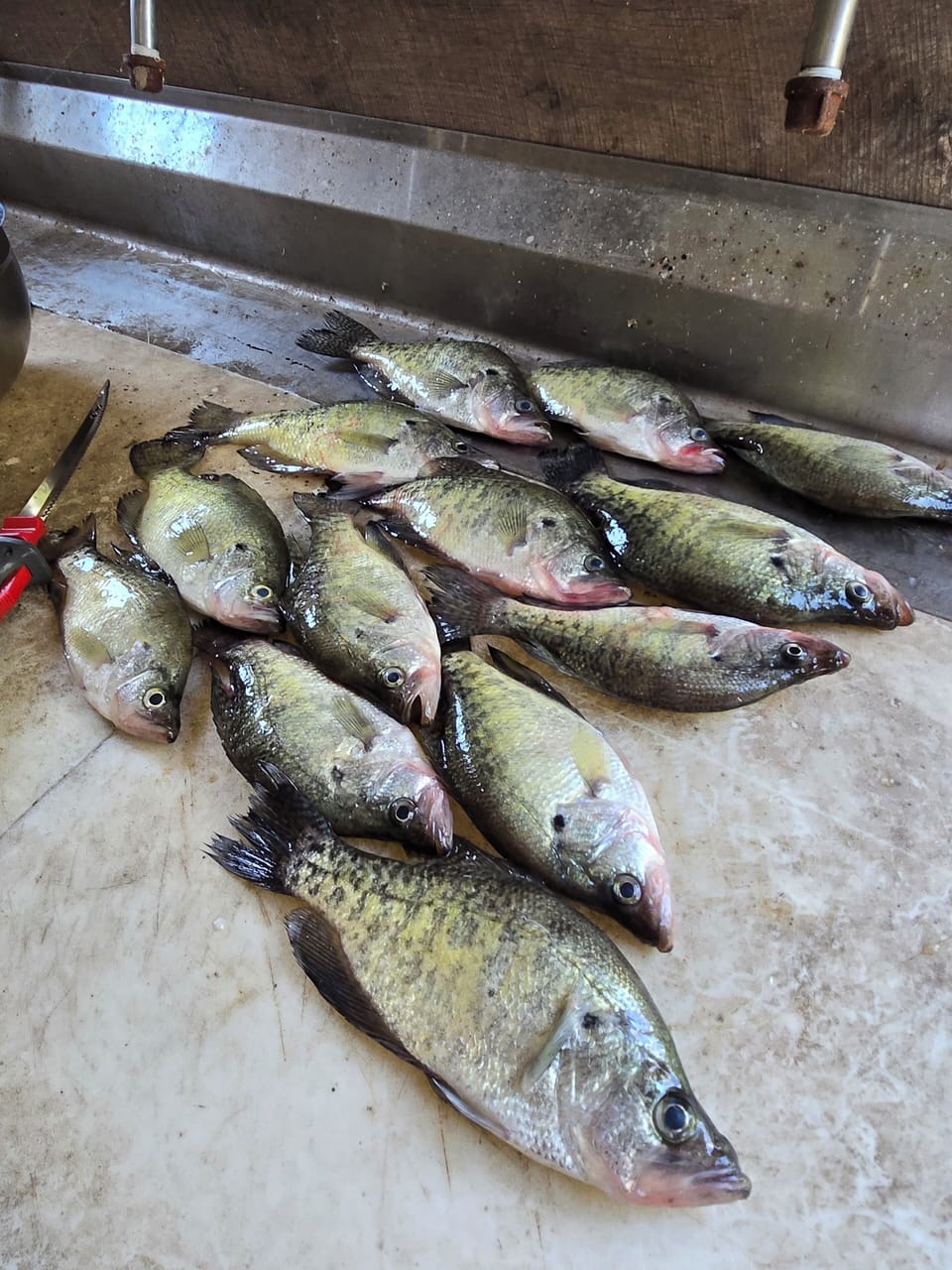 Trash bags and trash pickup.
Outdoor grills, front porch lake views from the bac