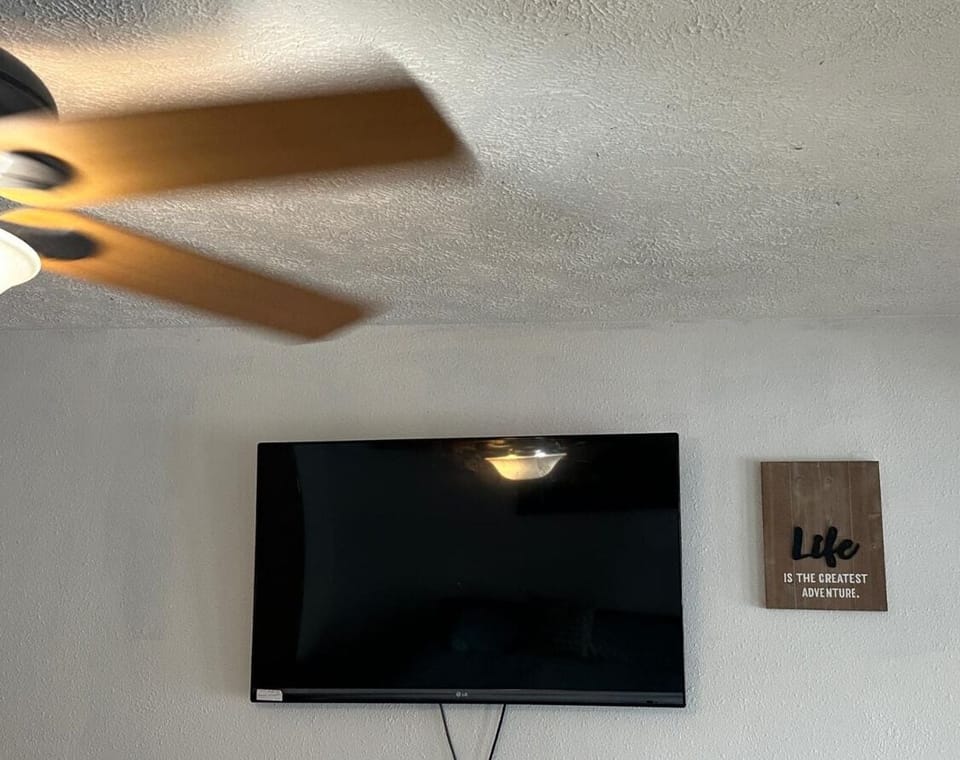 Television