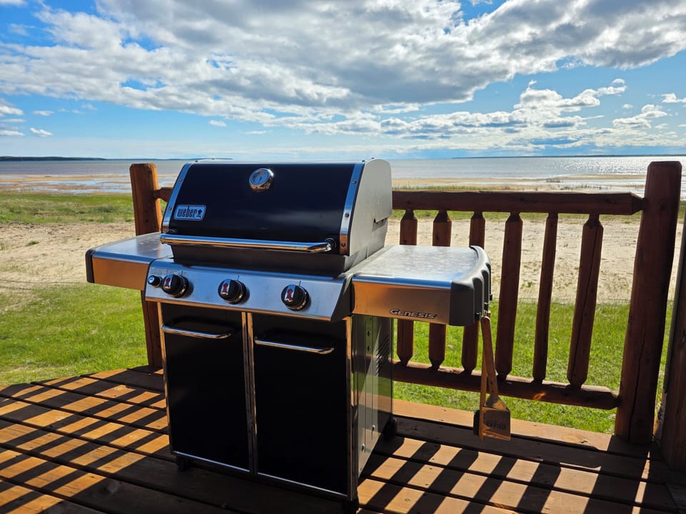 Weber Propane Grill with a view