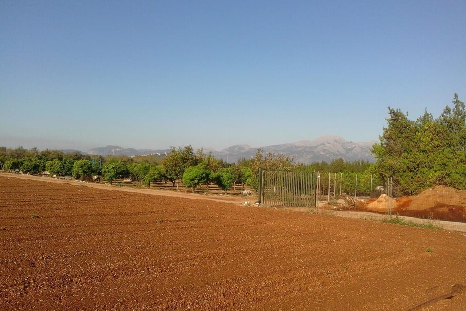 Surroundings [summer] (1-5 km)