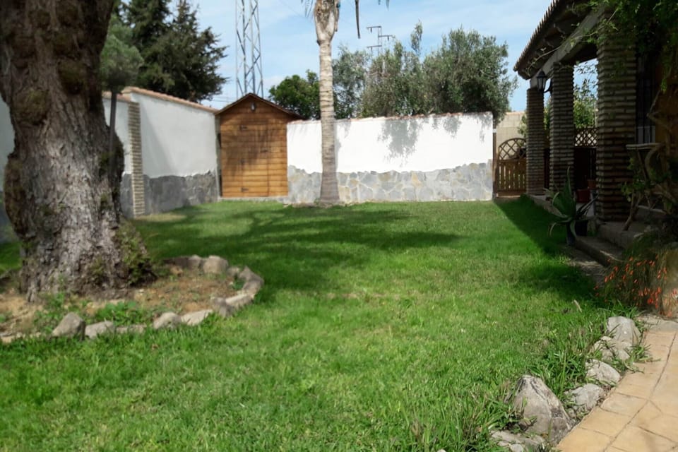 Garden [summer]