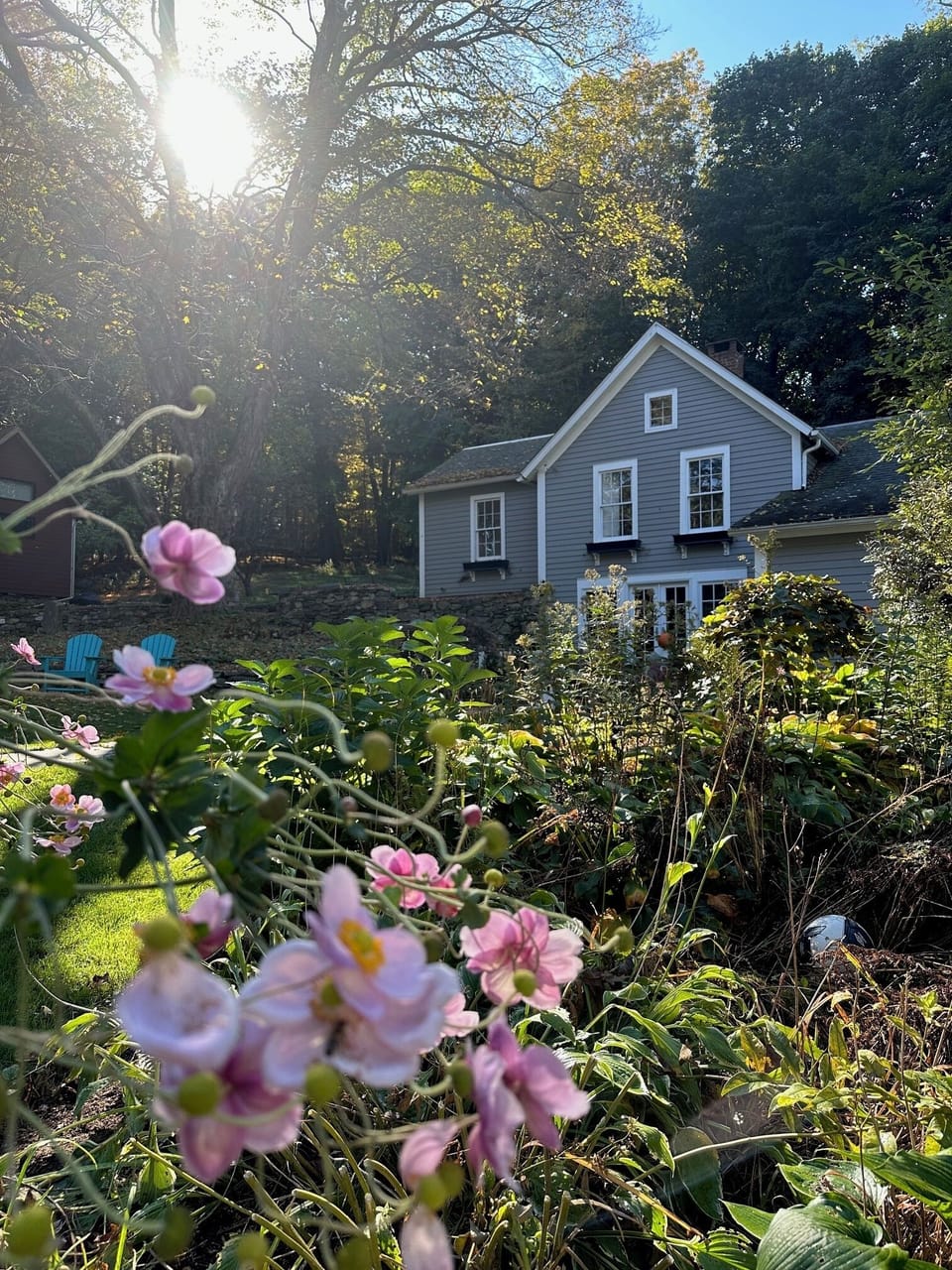 Garden at sunrise