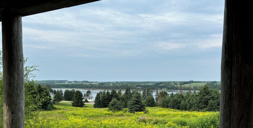 View from property