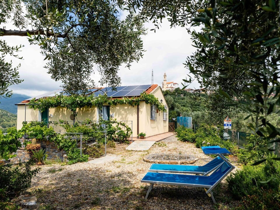 Shrub, Rural Area, Cottage, Garden, Backyard, Garden Buildings