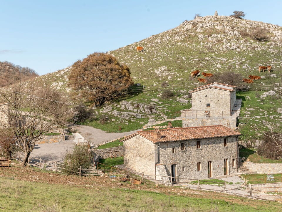 Cloud, Sky, Plant, Water, Tree, Horizon, Rural Area, Landscape, House, Cumulus