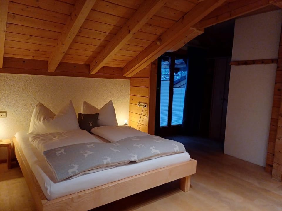 Apartment- 3 bedrooms ground floor - Apartment Zürcher Apartment in Schladming
