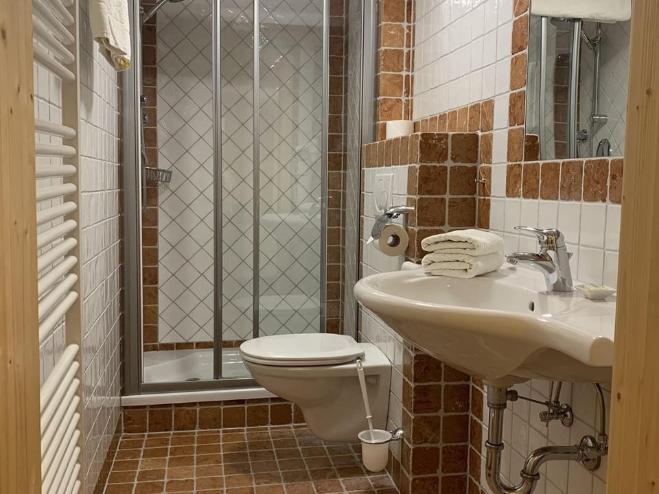 Double room (DZO6) - half board Kurzbucher - Heisshof Farm Stay in Schladming