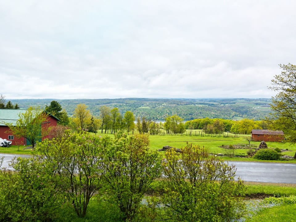 View from window