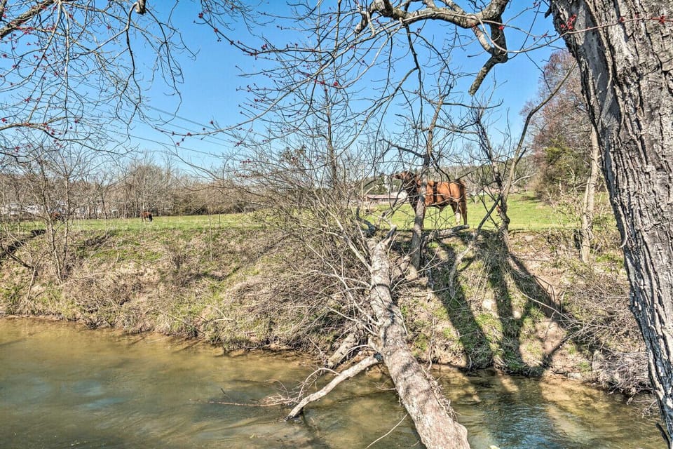Peaceful creekside view with friendly horses grazing nearby—a serene spot to enjoy nature and unwind.