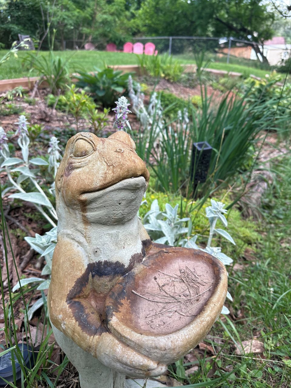 Garden friends 