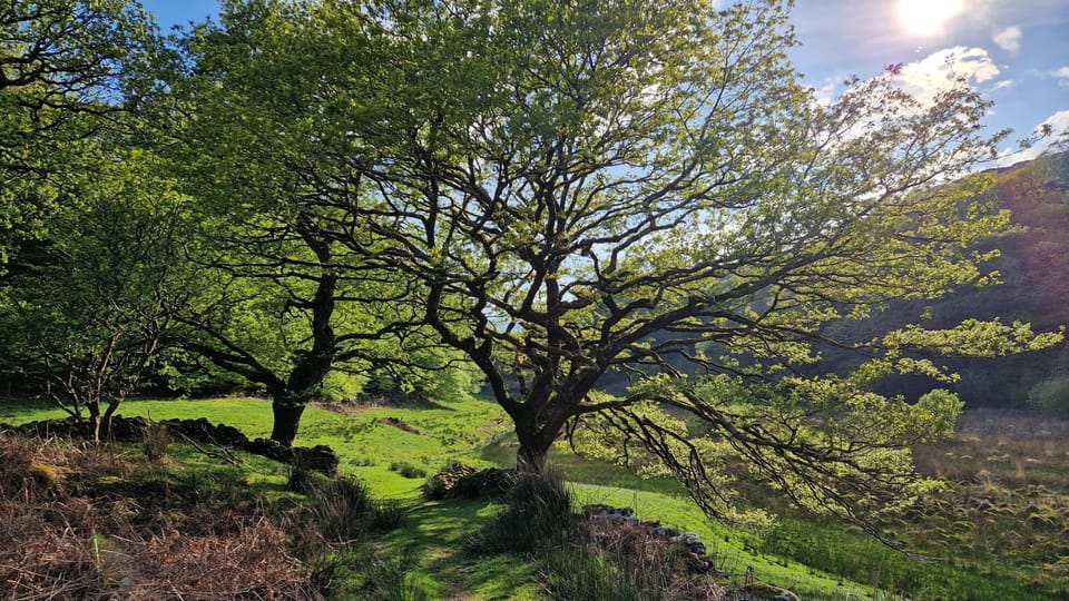 Nantmor valley