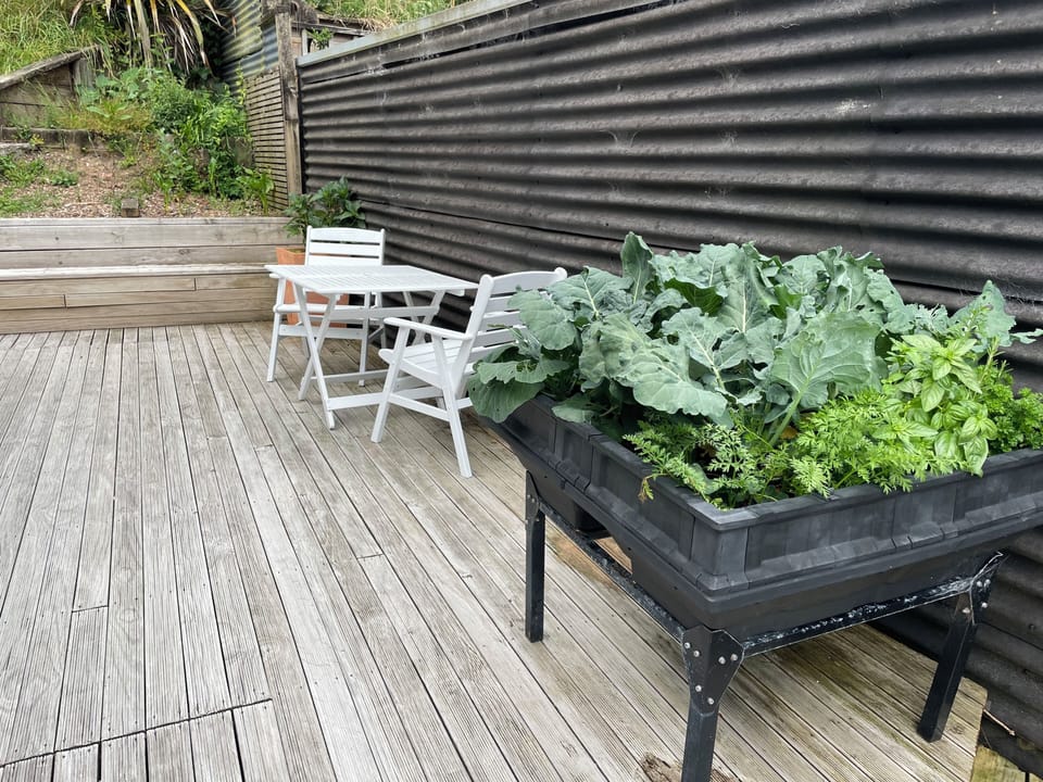 Vege/herb patch available for guests. 