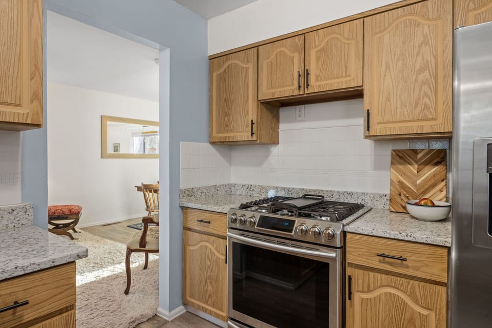 Gas Stove
